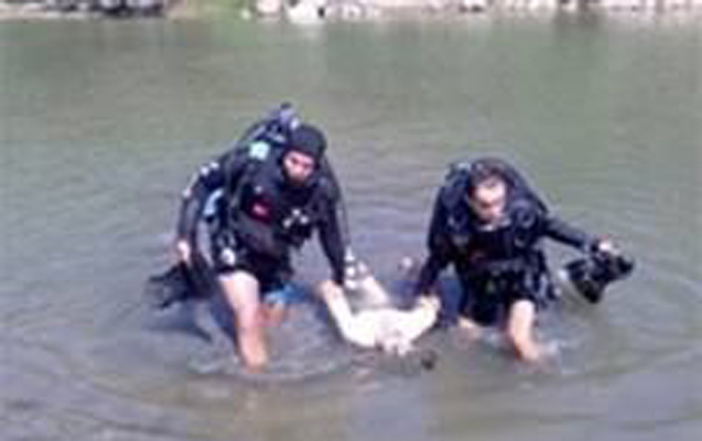 usaq-facievi-sekilde-oldu-